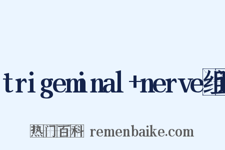 trigeminal+nerve组词是什么意思的图片